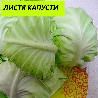 ЛИСТЯ КАПУСТИ